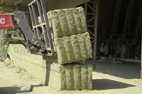 Dehidrated Bales