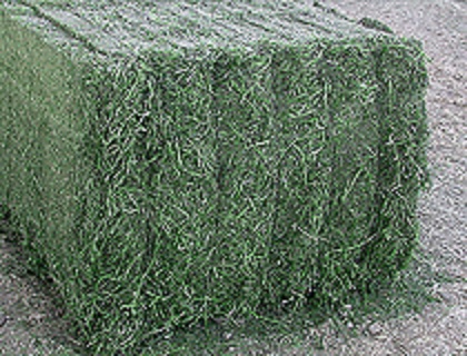 2012 Campaign Dehydrated Alfalfa
