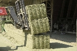 Dehidrated Bales