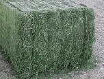 Dehydrated Alfalfa – 2012 Campaign