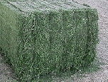 2012 Campaign Dehydrated Alfalfa