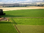 La sequía hace peligrar casi 2.000 empleos en 2012 sólo en tres cultivos