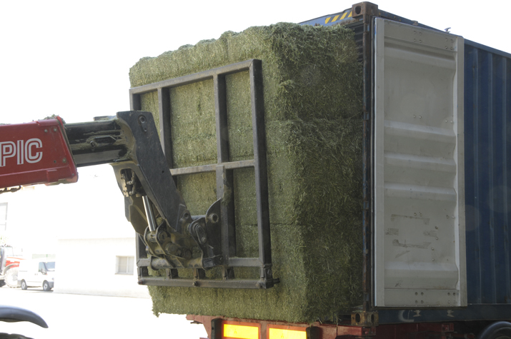 Dehydrated Alfalfa