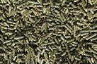 granule or pellet of alfalfa